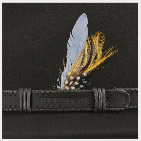 CHAPEAU STETSON RUTHERFORD