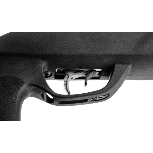 CARABINE GAMO ROADSTER IGT GEN 2 CAL 4.5mm 19.9J