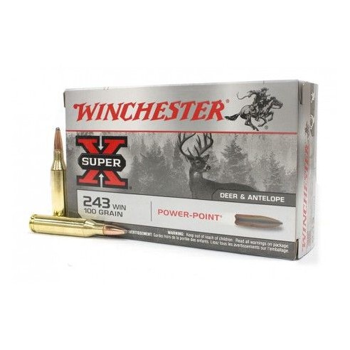 243 WIN WINCHESTER POWER POINT 100GR