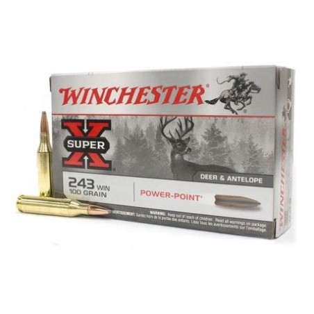 243 WIN WINCHESTER POWER POINT 100GR