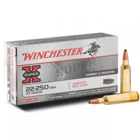 22-250 WINCHESTER SOFT POINT 55GR