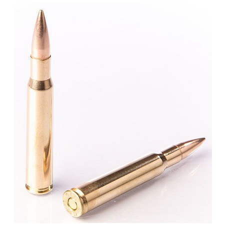 30.06 FIOCCHI FMJ 147GR