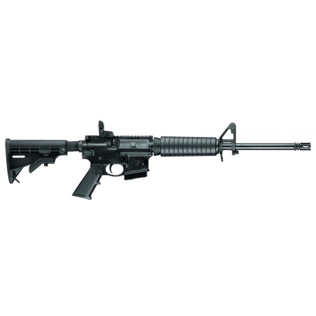 AR 15 SMITH & WESSON M&P 15 SPORT II PACK POINT ROUGE CAM 223R