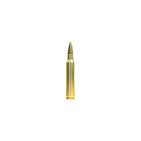 223 R SELLIER BELLOT 69GR FMJ BTE X100