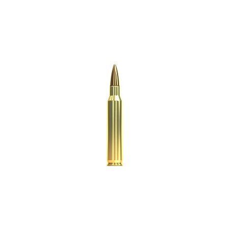 223 R SELLIER BELLOT 69GR FMJ BTE X100
