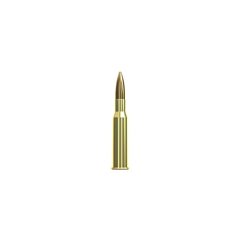 7.62X54R SELLIER BELLOT 11.7GR X50 VRAC+