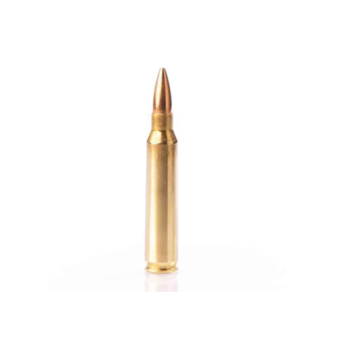 223R FIOCCHI FMJ 55G BTE X50