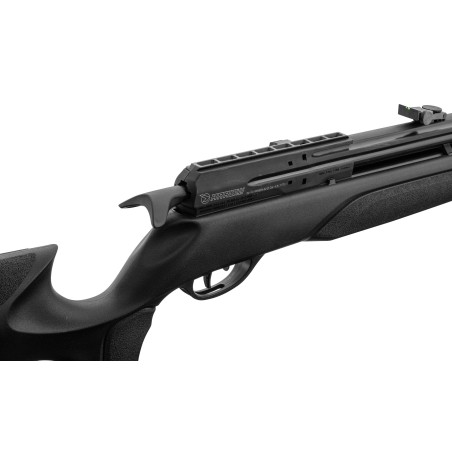 CARABINE GAMO PCP ARROW CAL 4.5mm 19.9 JOULES
