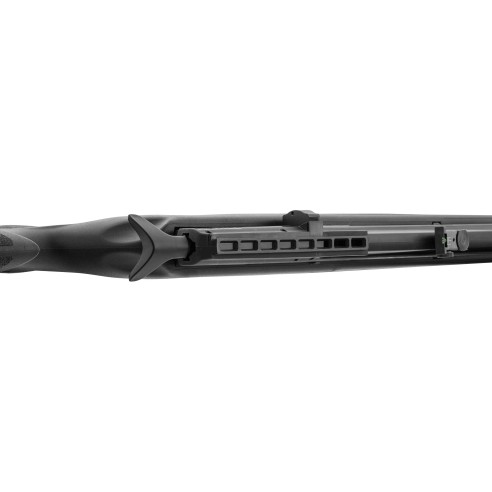 CARABINE GAMO PCP ARROW CAL 4.5mm 19.9 JOULES