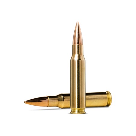 308 WIN NORMA GOLDEN TARGET 168 GR HPBT BTE X 20