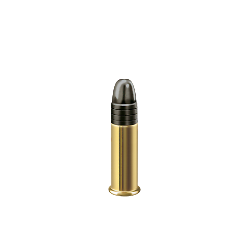 22LR RWS TARGET PISTOL X50