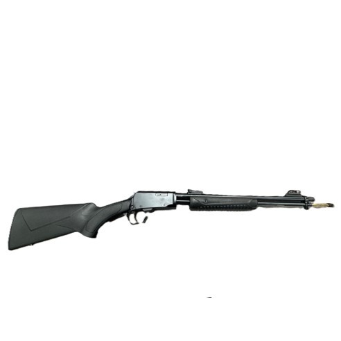 CARABINE ROSSI GALLERY CAL 22LR A POMPE