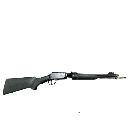 CARABINE ROSSI GALLERY CAL 22LR A POMPE