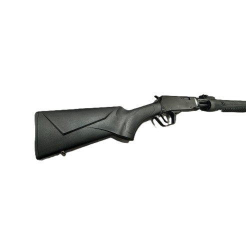 CARABINE ROSSI GALLERY CAL 22LR A POMPE