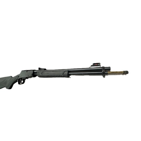 CARABINE ROSSI GALLERY CAL 22LR A POMPE