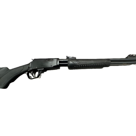CARABINE ROSSI GALLERY CAL 22LR A POMPE