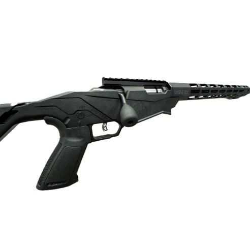 CARABINE RUGER PRECISION RIMFIRE CAL 22lr