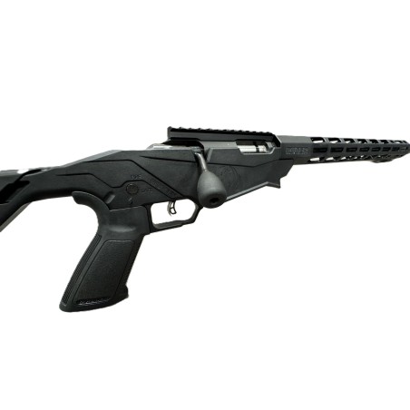 CARABINE RUGER PRECISION RIMFIRE CAL 22lr