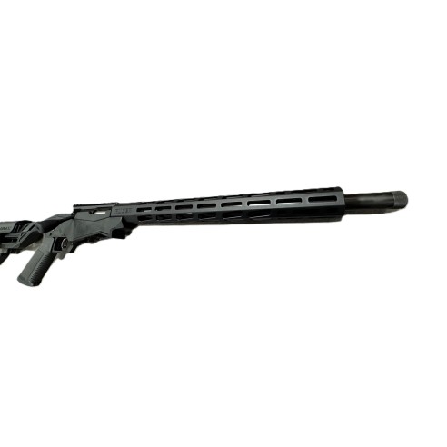 CARABINE RUGER PRECISION RIMFIRE CAL 22lr