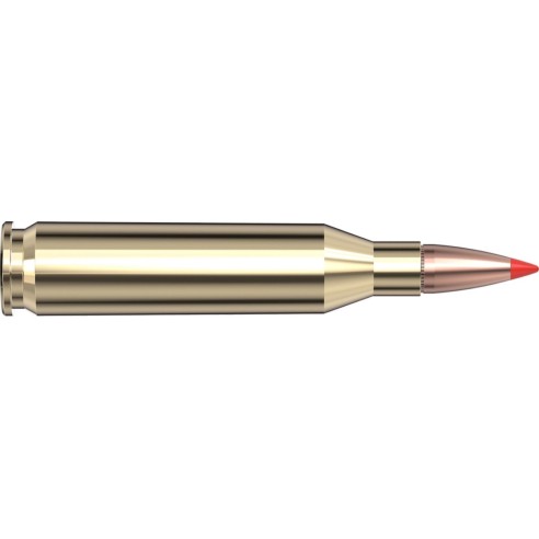 243 WIN 95GR HORNADY SUPERFORMANCE SST BTE X20