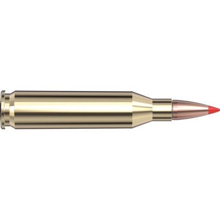 243 WIN 95GR HORNADY SUPERFORMANCE SST BTE X20