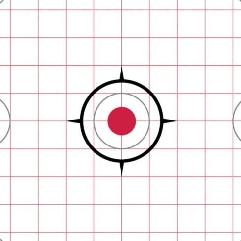 CIBLE PAPIER RUGER 7 ZONES PRECISION X20