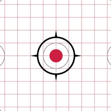 CIBLE PAPIER RUGER 7 ZONES PRECISION X20