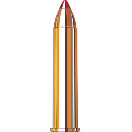 45/70 GOVT HORNADY FTX 325GR