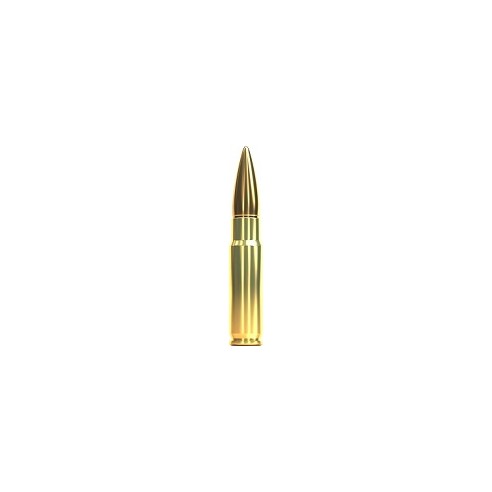 300 AAC BLACKOUT SELLIER BELLOT FMJ 200 GR