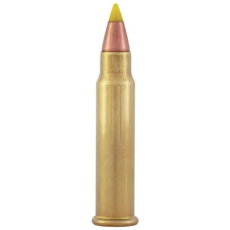 17 HMR CCI VNT  17 GR BTE X50