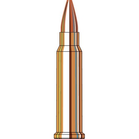 CART HORNADY 17HMR XTP 20GR