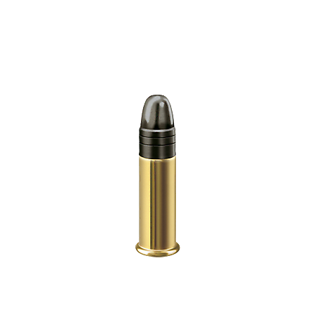 RWS 22LR RIFLE MATCH S