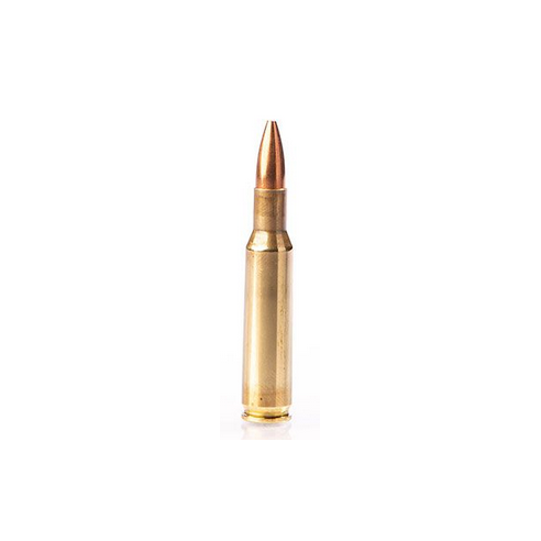 222R FIOCCHI FMJ 50GR X50