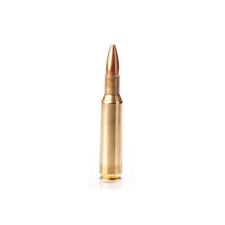 222R FIOCCHI FMJ 50GR X50
