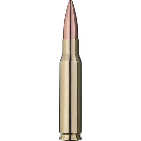308 WIN RWS TARGET ELITE PLUS 168GR
