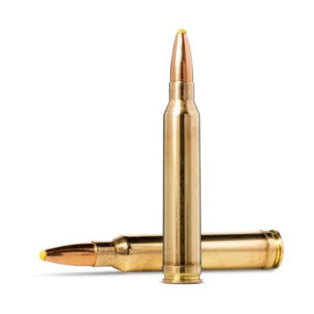 300 WIN MAG NORMA PLASTIC POINT 180GR