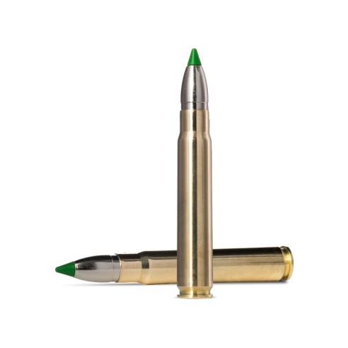 9.3X62 NORMA ECOSTRIKE 230GR