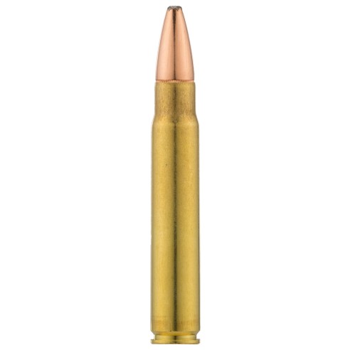 9.3X62 WINCHESTER POWER POINT 286GR