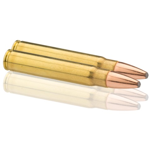 9.3X62 WINCHESTER POWER POINT 286GR